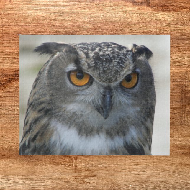 Eurasian Eagle Owl Photo Jigsaw Puzzle (Creator Uploaded)