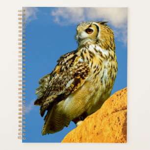 Eurasian eagle owl planner