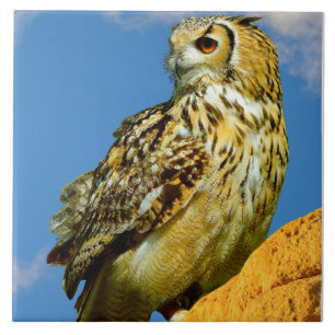 Eurasian eagle owl tile