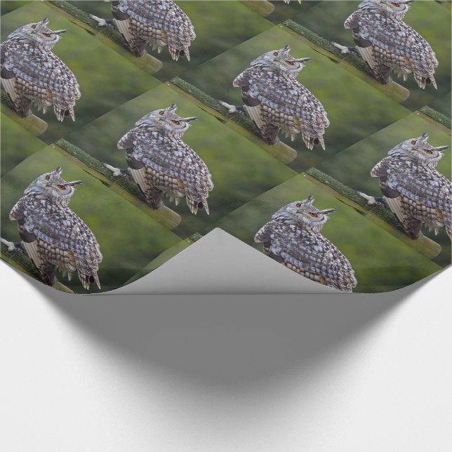 Eurasian Eagle Owl Wrapping Paper (Corner)