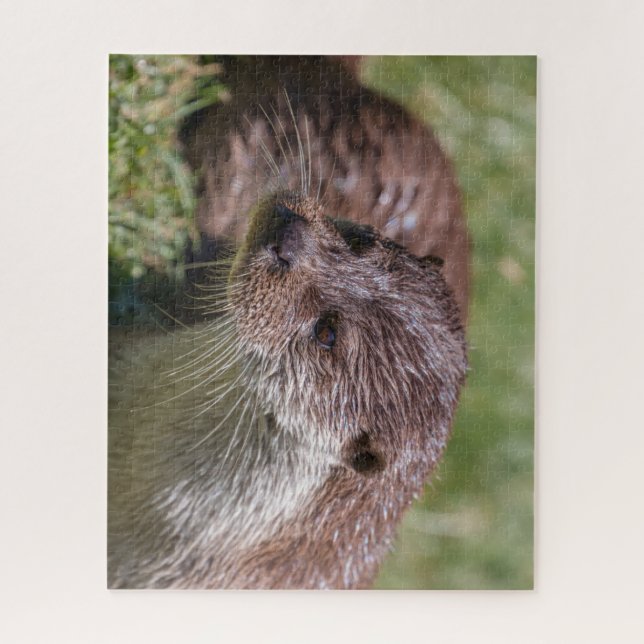 Eurasian Otter Resting in the Sunshine Jigsaw Puzzle (Vertical)