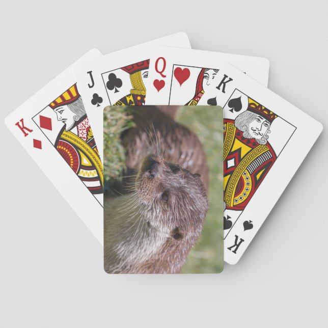 Eurasian Otter Resting in the Sunshine Playing Cards (Back)