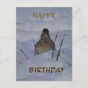 Eurasian Skylark Bird Cust. Text Birthday Postcard