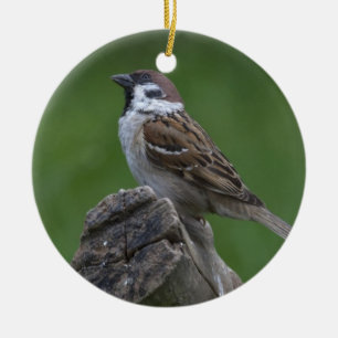 Eurasian Tree Sparrow Ceramic Tree Decoration