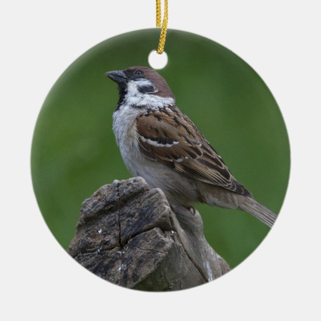 Eurasian Tree Sparrow Ceramic Tree Decoration (Front)