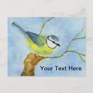 Eurasion Blue Tit Postcard