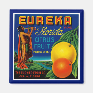 Eureka Florida Citrus Magnet