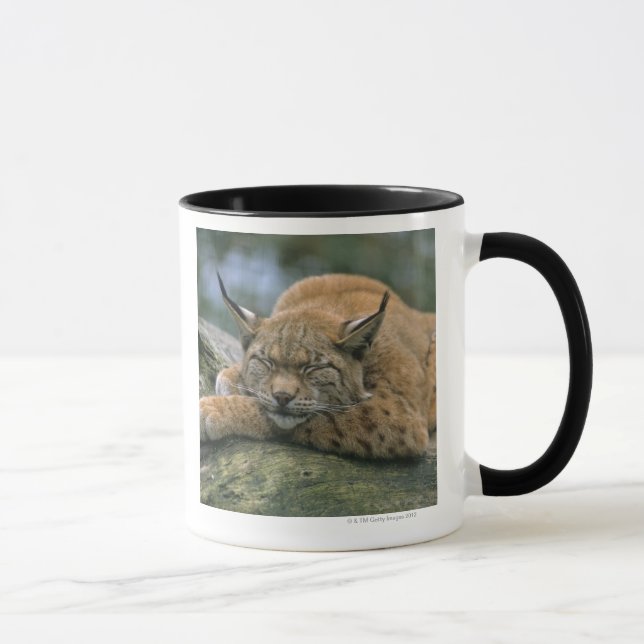 Europ�_ischer Luchs, Eurasischer Luchs (Lynx Mug (Right)