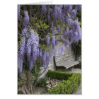 Europe, Austria, Salzburg Stadt, Salzburg,