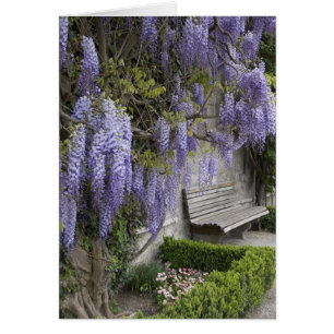 Europe, Austria, Salzburg Stadt, Salzburg,