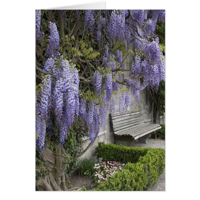 Europe, Austria, Salzburg Stadt, Salzburg, (Front)