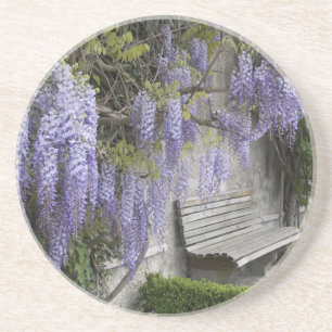 Europe, Austria, Salzburg Stadt, Salzburg, Coaster