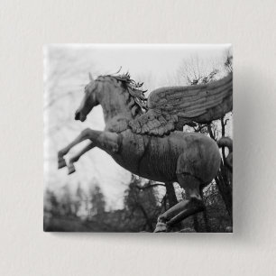 Europe, Austria, Salzburg. Winged horse statue, 2 15 Cm Square Badge
