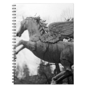 Europe, Austria, Salzburg. Winged horse statue, 2 Spiral Notebook