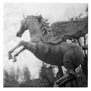 Europe, Austria, Salzburg. Winged horse statue, 2 Tile