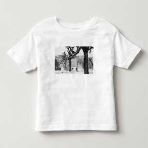 Europe, Austria, Salzburg. Winter, Toddler T-Shirt