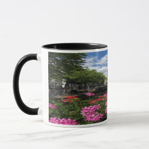 Europe Cityscape flowers Garden street Mug