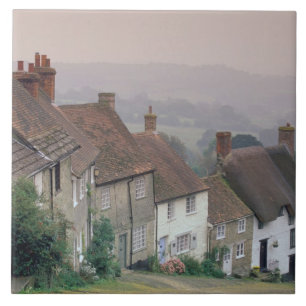 Europe, England, Dorset, Gold Hill, Shaftesbury. Tile