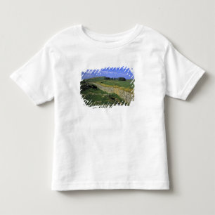 Europe, England, Hadrian's Wall. The stones of Toddler T-Shirt