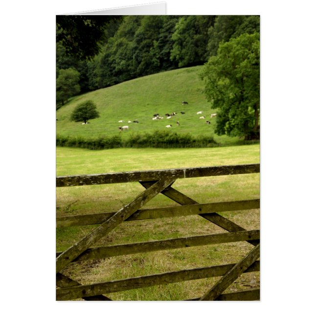 Europe, England, Lake District, Cumbria, (Front)