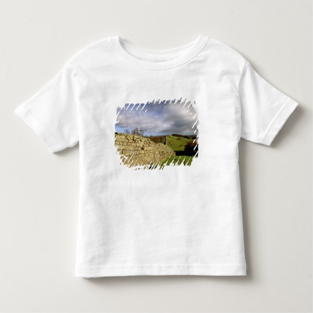 Europe, England, Northumberland. Hadrian's Toddler T-Shirt (Front)