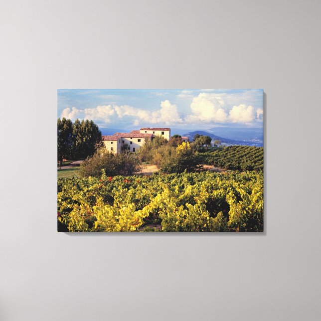 Europe, France, Bonnieux. Vineyards cover the Canvas Print (Front)