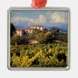 Europe, France, Bonnieux. Vineyards cover the Metal Tree Decoration
