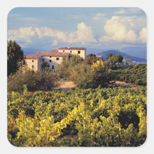 Europe, France, Bonnieux. Vineyards cover the Square Sticker