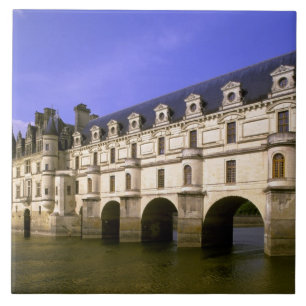 Europe, France, Loire Valley. Chateau Tile