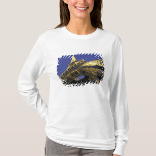 Europe, France, Paris, Eiffel Tower, evening 2 T-Shirt