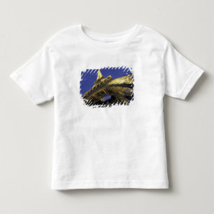 Europe, France, Paris, Eiffel Tower, evening 2 Toddler T-Shirt