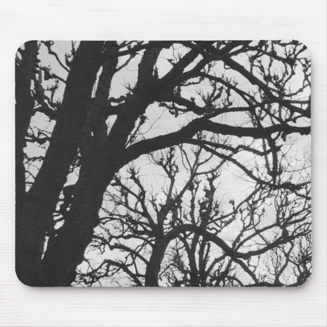 Europe, France, Paris. Winter trees, Marco Mouse Pad (Front)