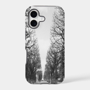 Europe, France, Paris. Winter trees, Marco Polo