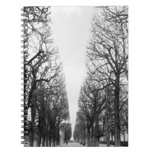 Europe, France, Paris. Winter trees, Marco Polo Spiral Notebook