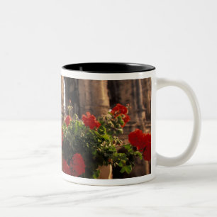 Europe, France, Provence, Arles, Bouches, du, Two-Tone Coffee Mug