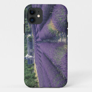 Europe, France, Provence. Lavander fields Case-Mate iPhone Case