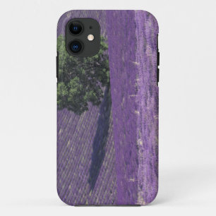 Europe, France, Provence, Sault, Lavender fields Case-Mate iPhone Case