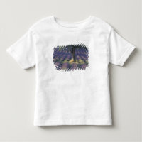 Europe, France, Provence, Sault, Lavender