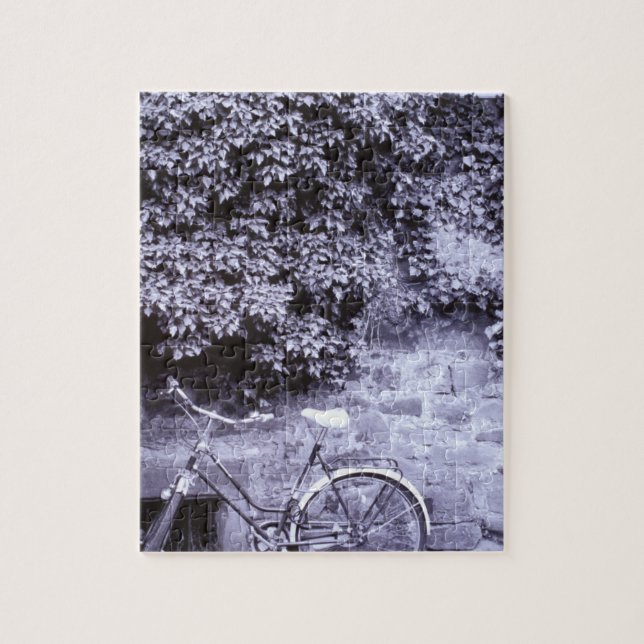 Europe, Germany, Baden, Wurttemberg, Heidelberg. 2 Jigsaw Puzzle (Vertical)