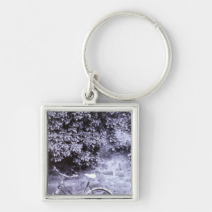 Europe, Germany, Baden, Wurttemberg, Heidelberg. 2 Key Ring