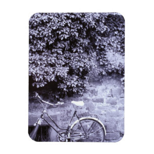 Europe, Germany, Baden, Wurttemberg, Heidelberg. 2 Magnet