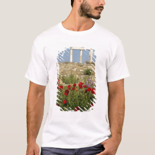 Europe, Greece, Cyclades, Delos. Column ruins. 2 T-Shirt