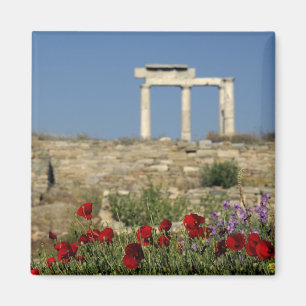 Europe, Greece, Cyclades, Delos. Column ruins. Magnet
