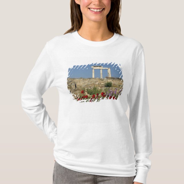 Europe, Greece, Cyclades, Delos. Column ruins. T-Shirt (Front)