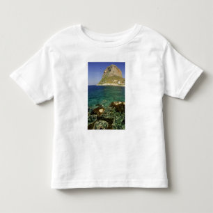 Europe, Greece, Peloponnese, Monemvasia. The Toddler T-Shirt