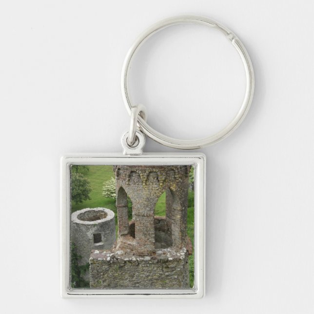 Europe, Ireland, Blarney Castle. THIS IMAGE Key Ring (Front)