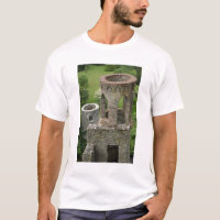 Europe, Ireland, Blarney Castle. THIS IMAGE