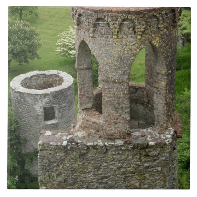 Europe, Ireland, Blarney Castle. THIS IMAGE Tile (Front)