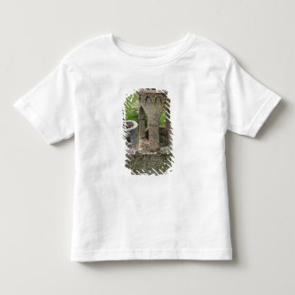 Europe, Ireland, Blarney Castle. THIS IMAGE Toddler T-Shirt