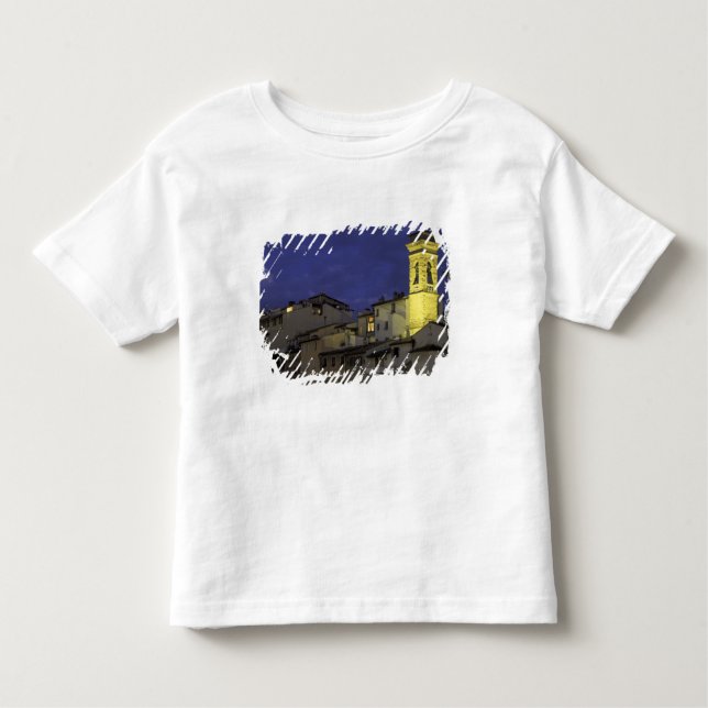 Europe, Italy, Florence, Architectural detail; Toddler T-Shirt (Front)
